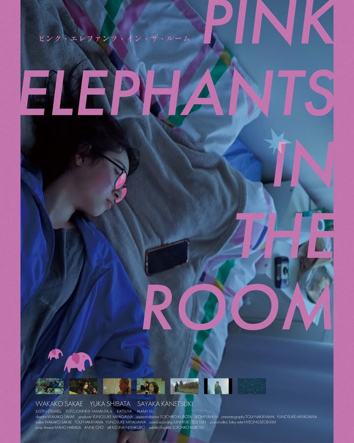 Pink Elephants in the room Poster